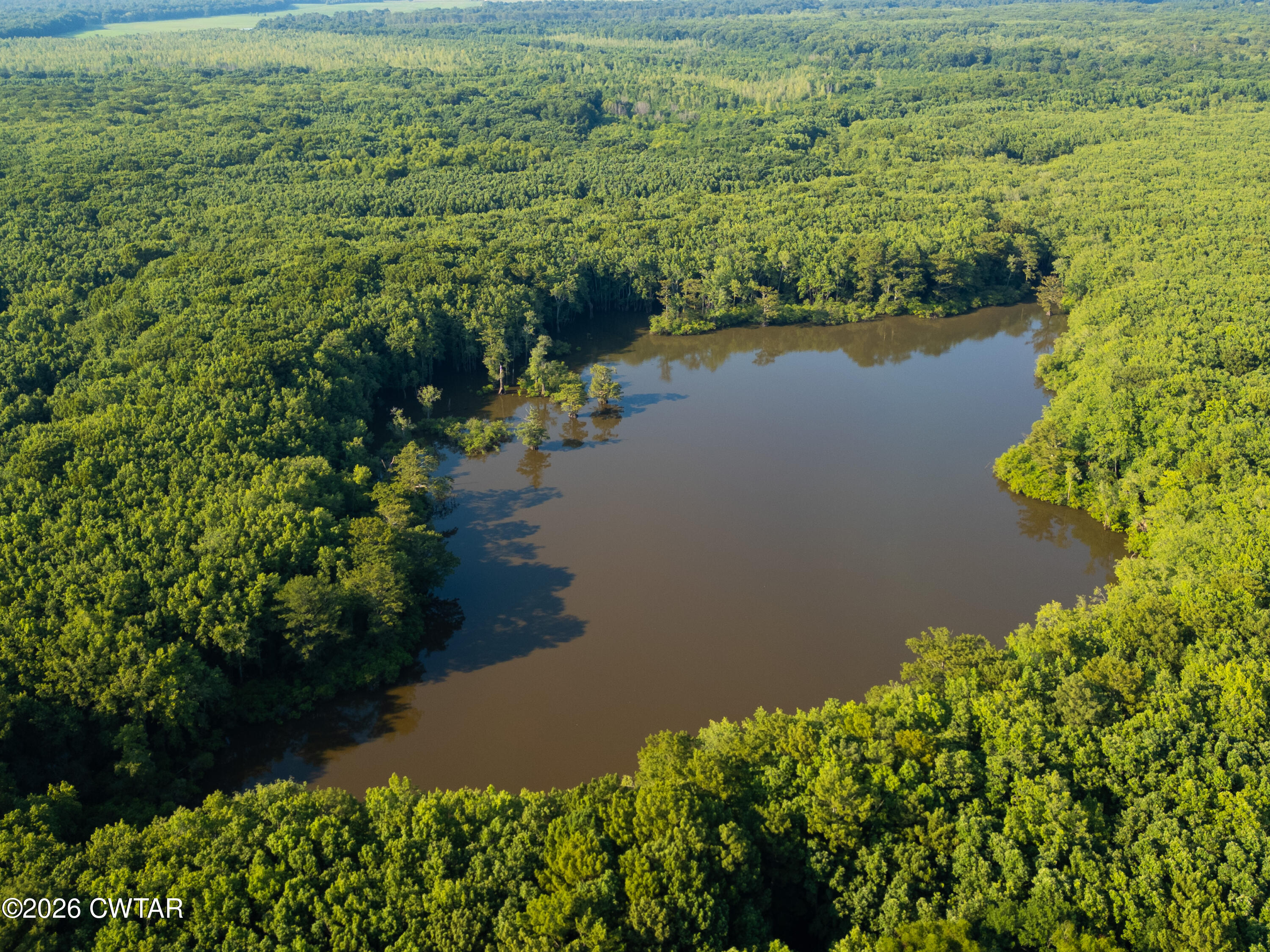 0 Chisholm Lake Road Ripley, TN 38063 - Photo 4 of 14 DJI_0001 copy