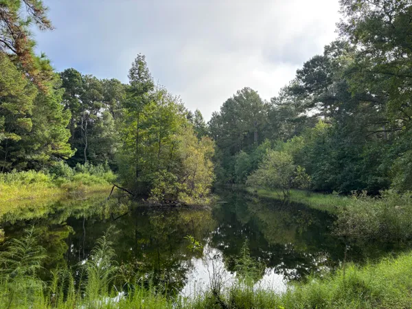 $199,000 | 0 Providence Circle, Awendaw, SC 29429