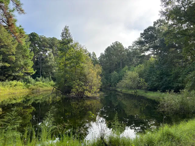 $199,000 | 0 Providence Circle, Awendaw, SC 29429