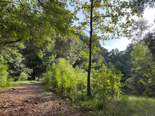 $199,000 | 0 Providence Circle, Awendaw, SC 29429