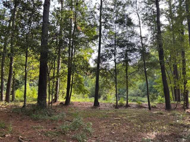 $199,000 | 0 Providence Circle, Awendaw, SC 29429