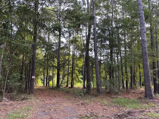 $199,000 | 0 Providence Circle, Awendaw, SC 29429