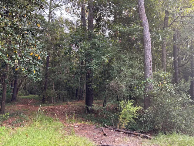 $199,000 | 0 Providence Circle, Awendaw, SC 29429