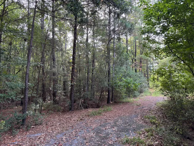 $199,000 | 0 Providence Circle, Awendaw, SC 29429