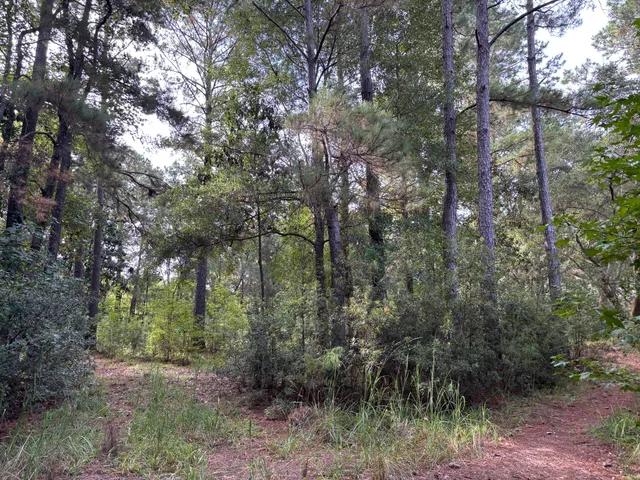 $199,000 | 0 Providence Circle, Awendaw, SC 29429