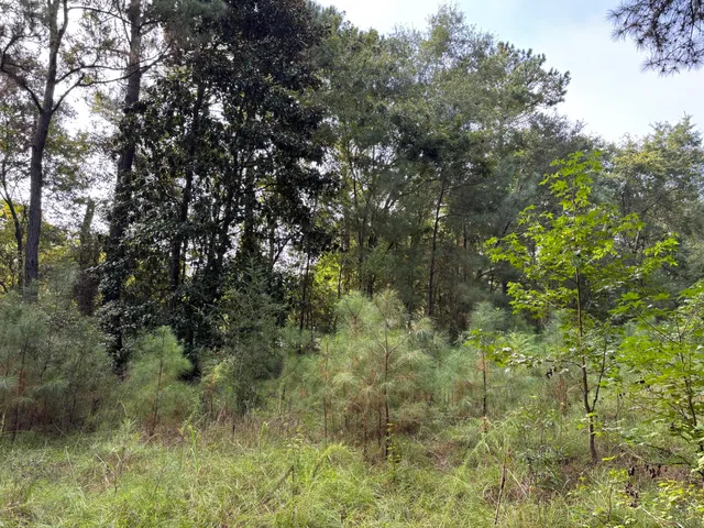 $199,000 | 0 Providence Circle, Awendaw, SC 29429