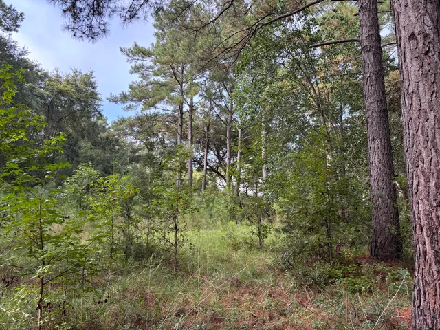 $199,000 | 0 Providence Circle, Awendaw, SC 29429