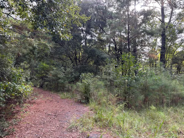 $199,000 | 0 Providence Circle, Awendaw, SC 29429