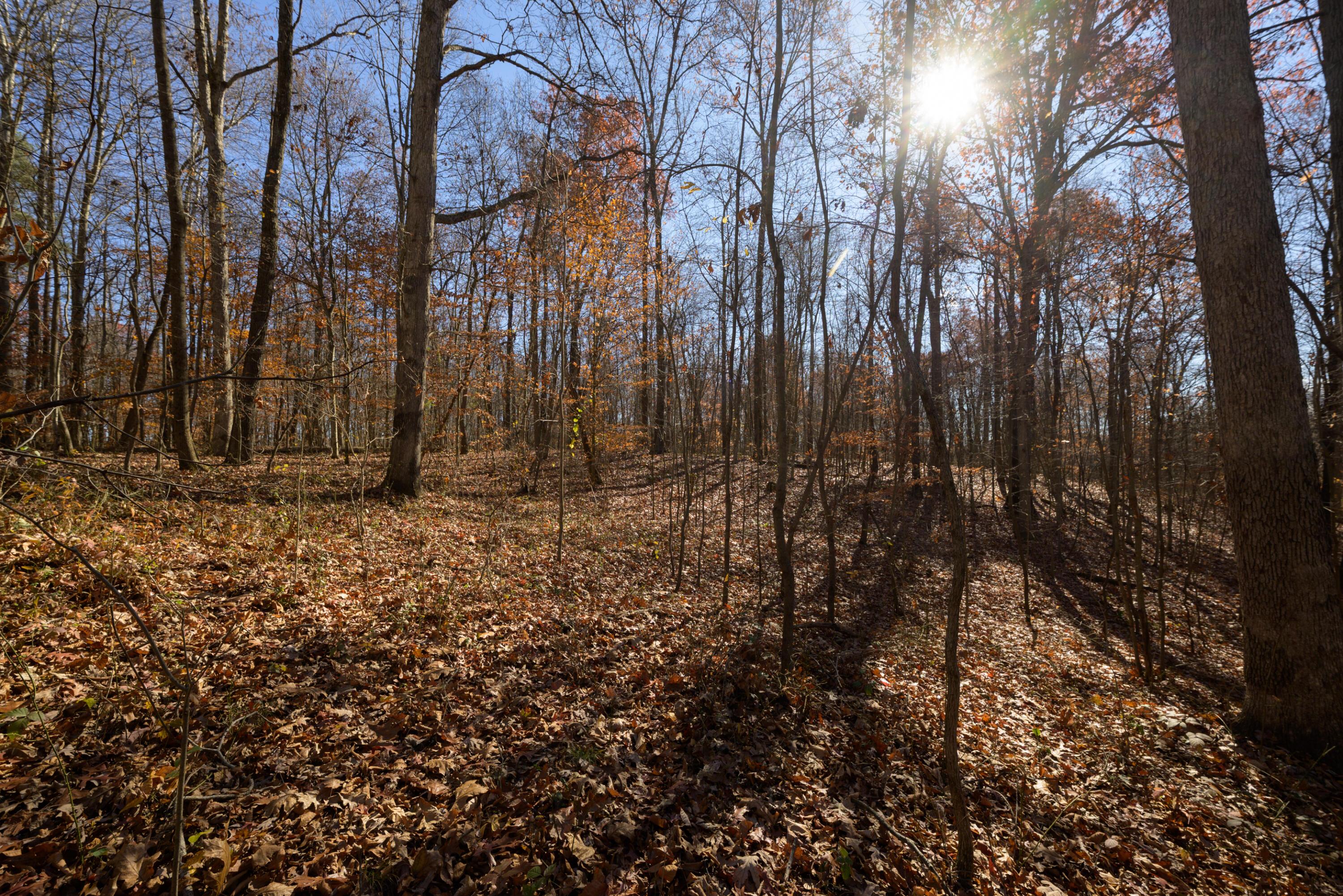 0 Morning Star Road Racine, OH 45771 - Photo 12 of 18 SPS_4158 (1)