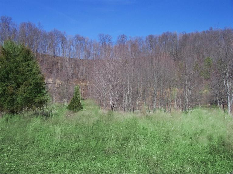 1 Cortland Fork Ricetown, KY 41364 - Photo 6 of 12 Photo 6