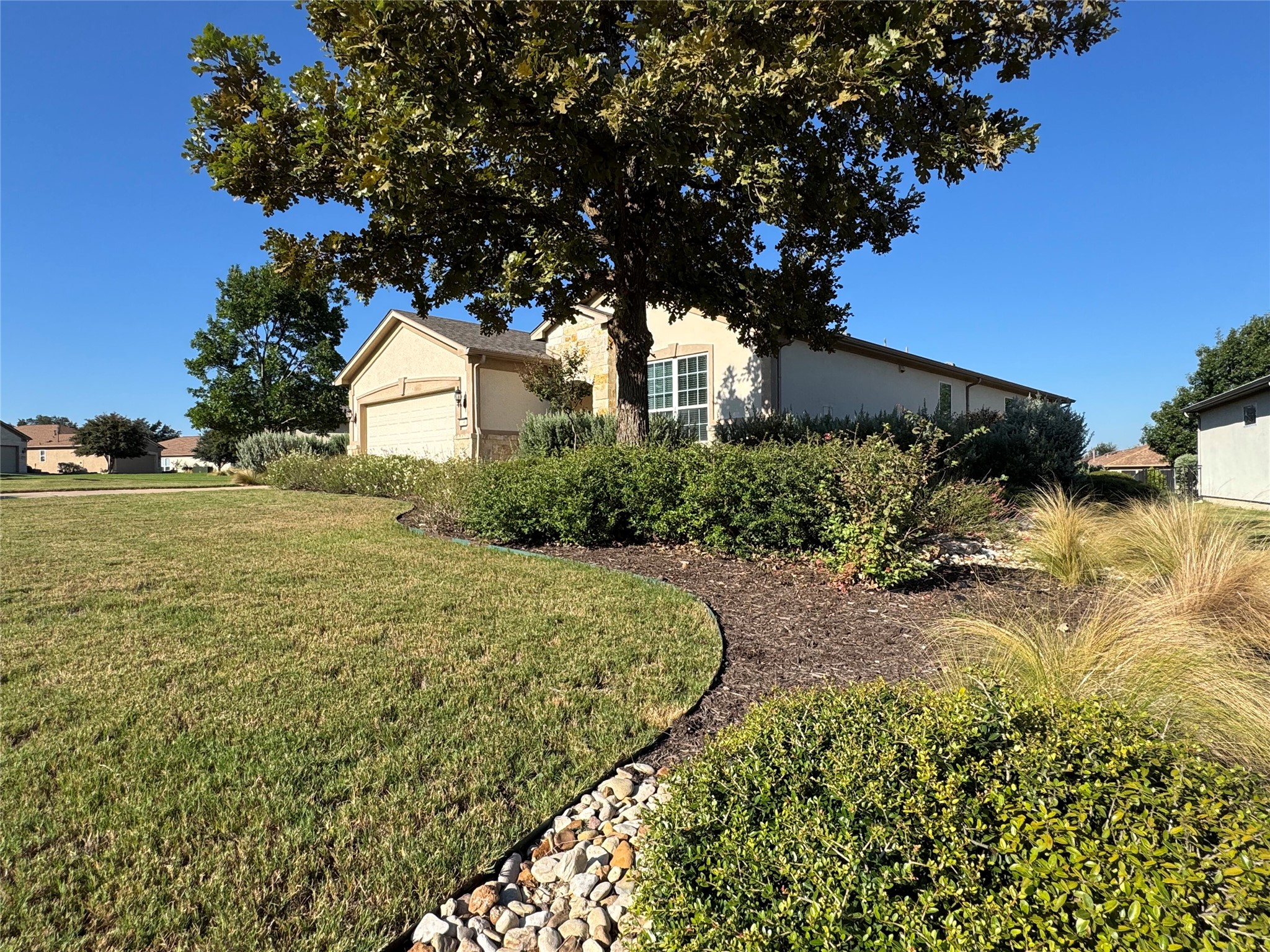a view of a backyard