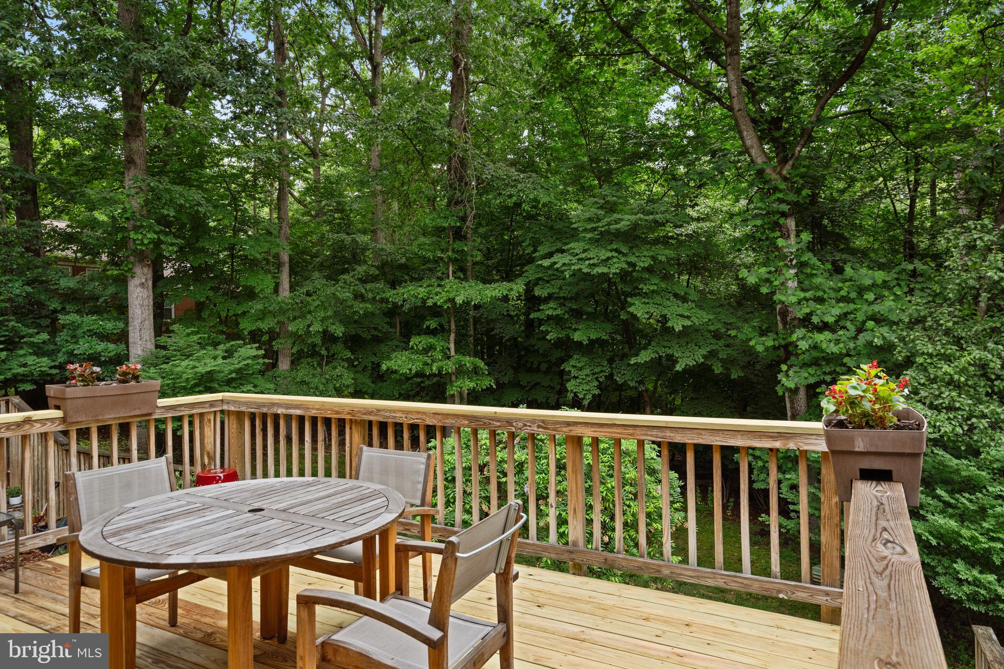 2303 Middle Creek Lane Reston, VA 20191 - Photo 14 of 48 Garden Oasis