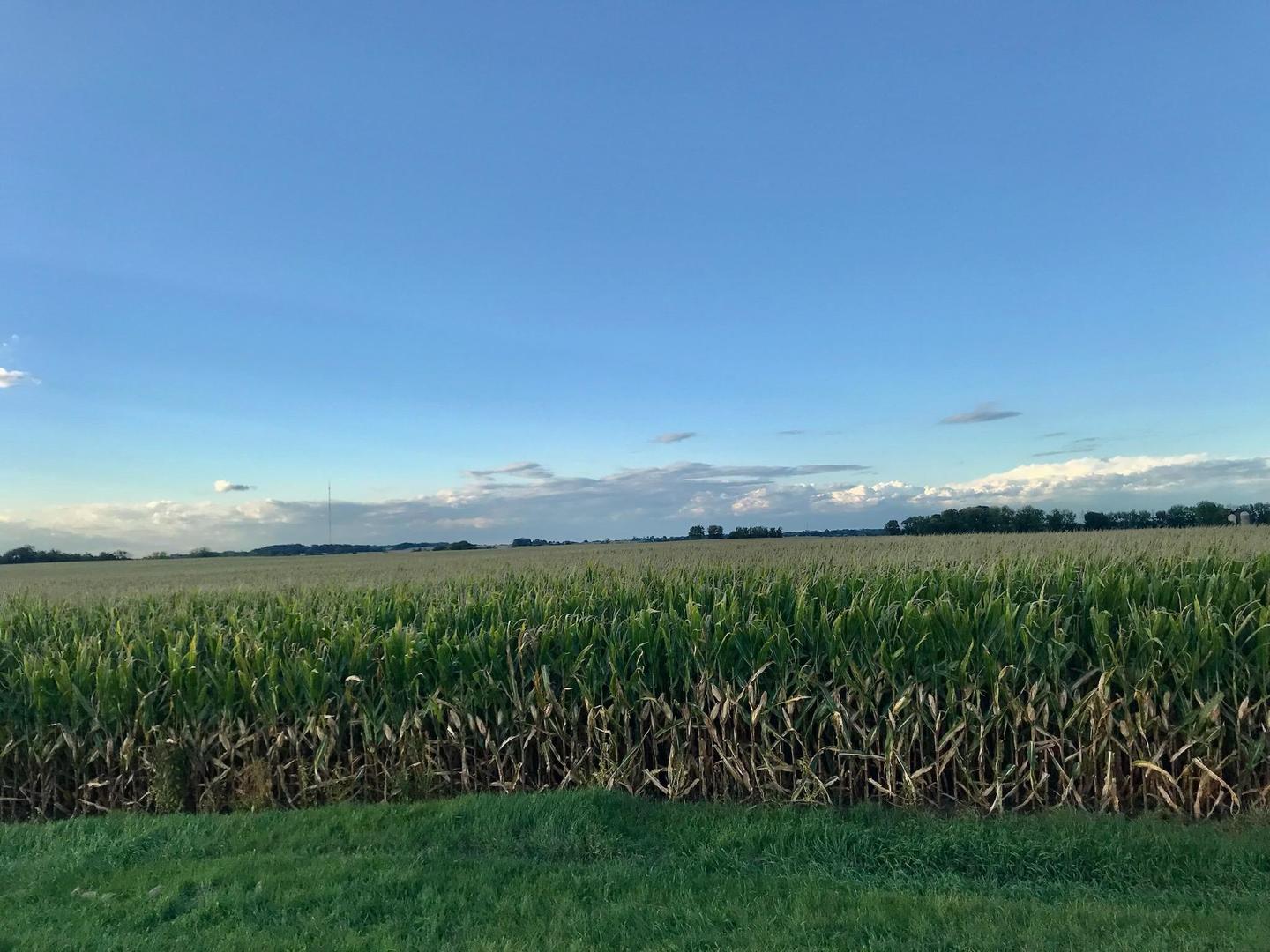 0 Us Rt 20 Winnebago, IL 61088 - Photo 4 of 7 a view of a lush green field