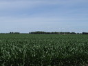 0 Us Rt 20 Winnebago, IL 61088 - Photo 5 of 7 a view of a field of grass and trees
