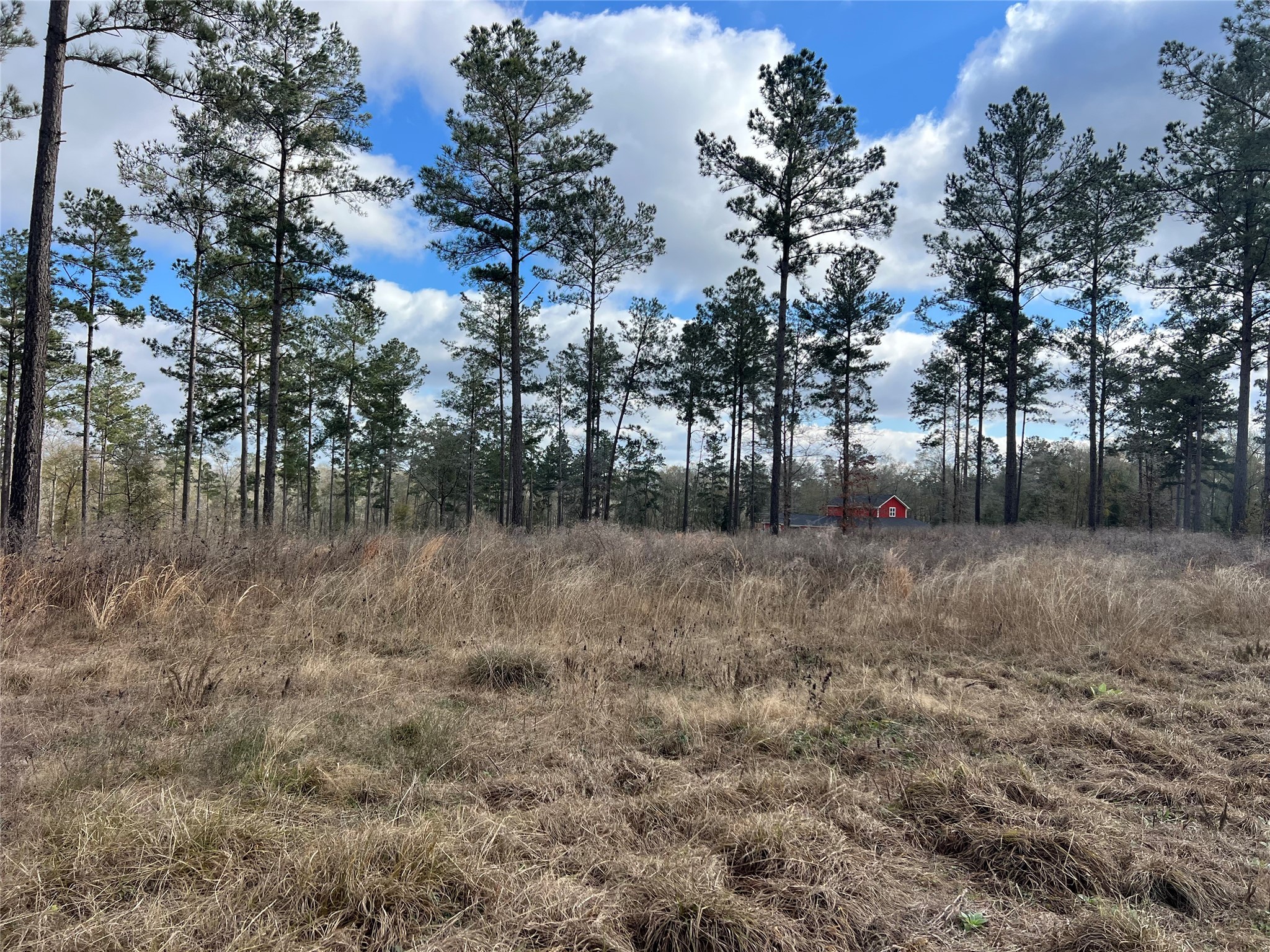 7 Red Lowe Road Livingston, TX 77351 - Photo 2 of 6 a view of outdoor space and yard