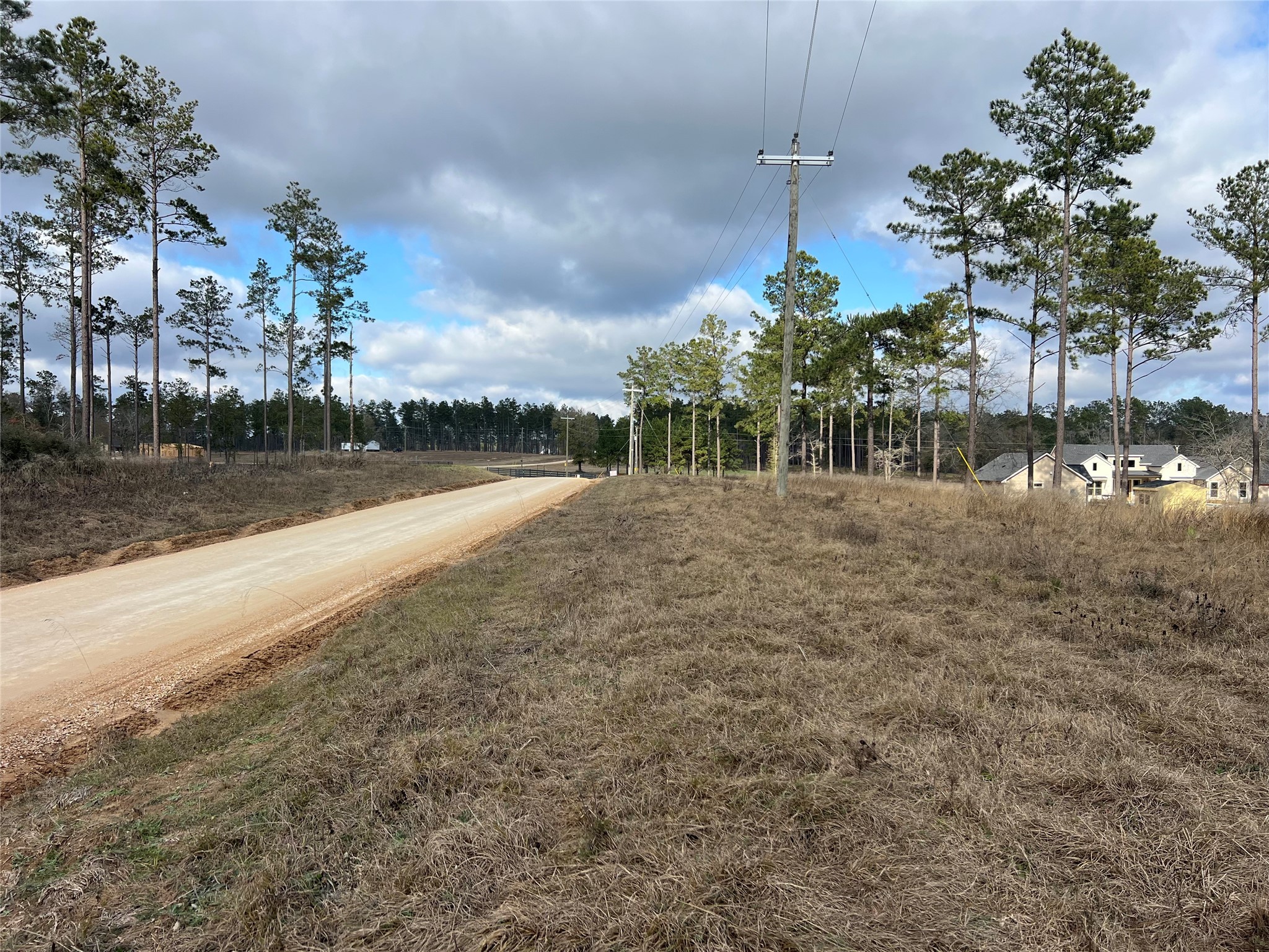 7 Red Lowe Road Livingston, TX 77351 - Photo 5 of 6 a backyard of a house with lots of green space