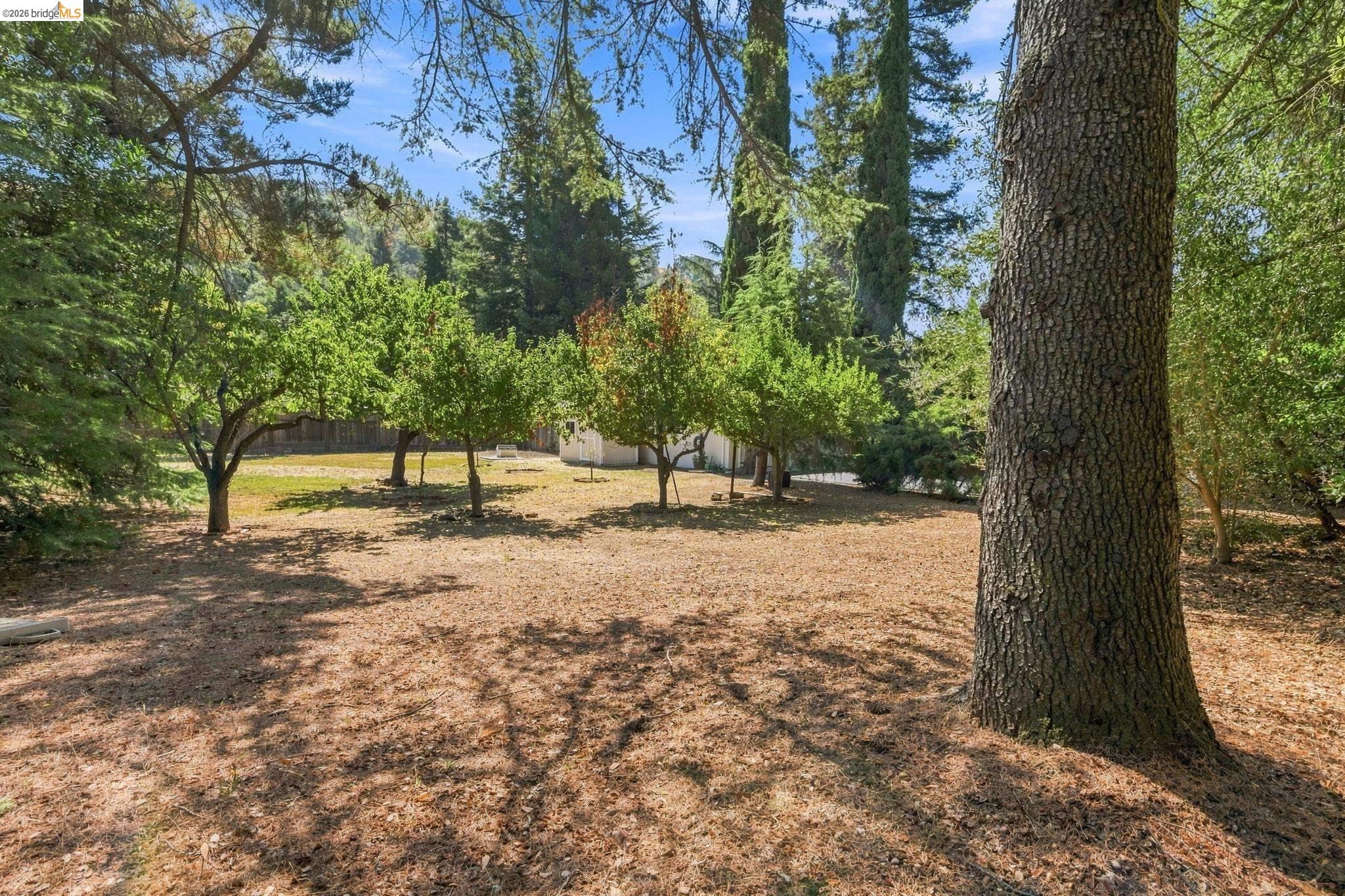 5075 Alhambra Valley Road Martinez, CA 94553 - Photo 50 of 68 Expansive grounds featuring mature trees and established plantings