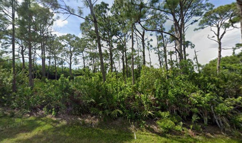 5249 Wynn Terrace Port Charlotte, FL 33981 - Photo 3 of 13 a view of a yard with plants and trees