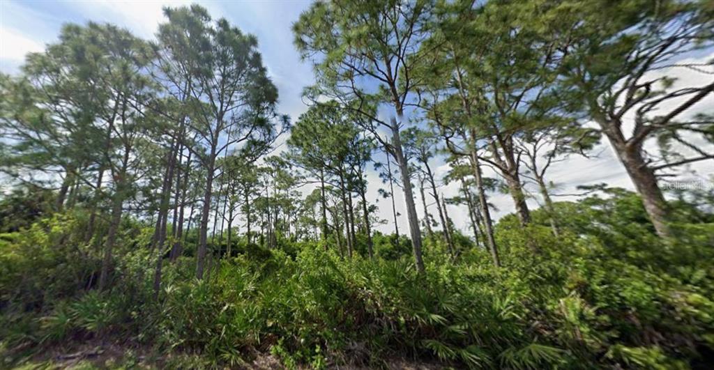 5249 Wynn Terrace Port Charlotte, FL 33981 - Photo 4 of 13 a view of a yard