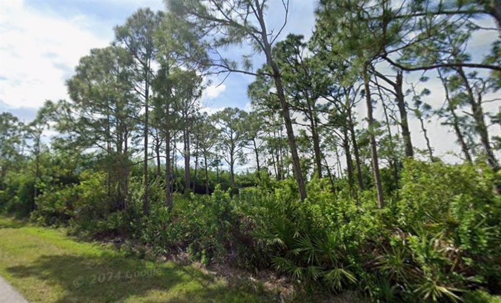 5249 Wynn Terrace Port Charlotte, FL 33981 - Photo 5 of 13 a view of forest