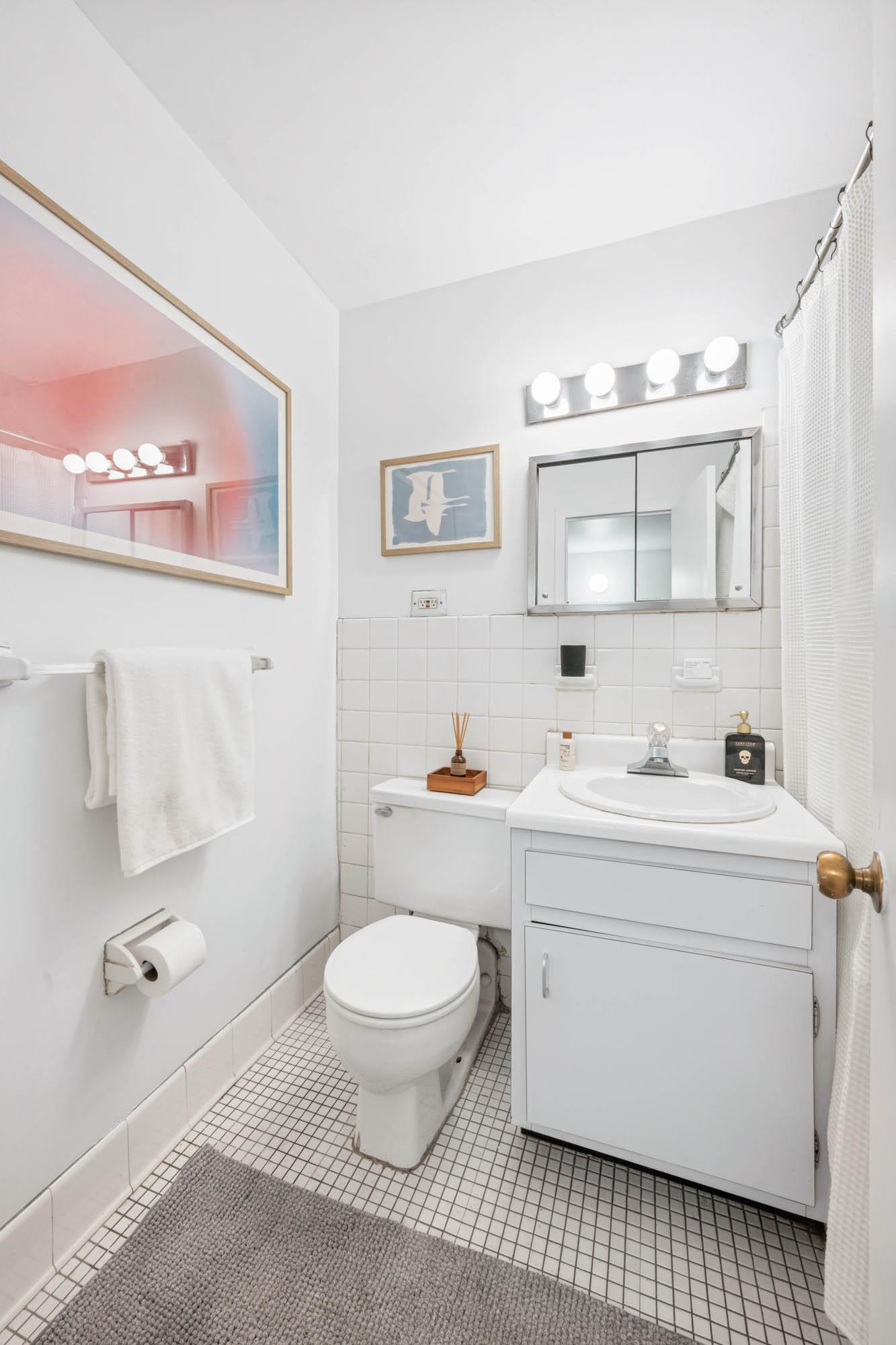 250 Mercer Street, Unit C201 Manhattan, NY 10012 - Photo 9 of 12