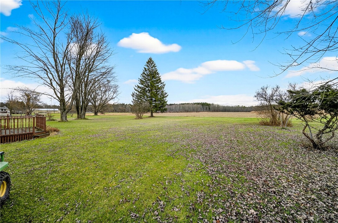 7364 Collamer Road Manlius, NY 13057 - Photo 35 of 39