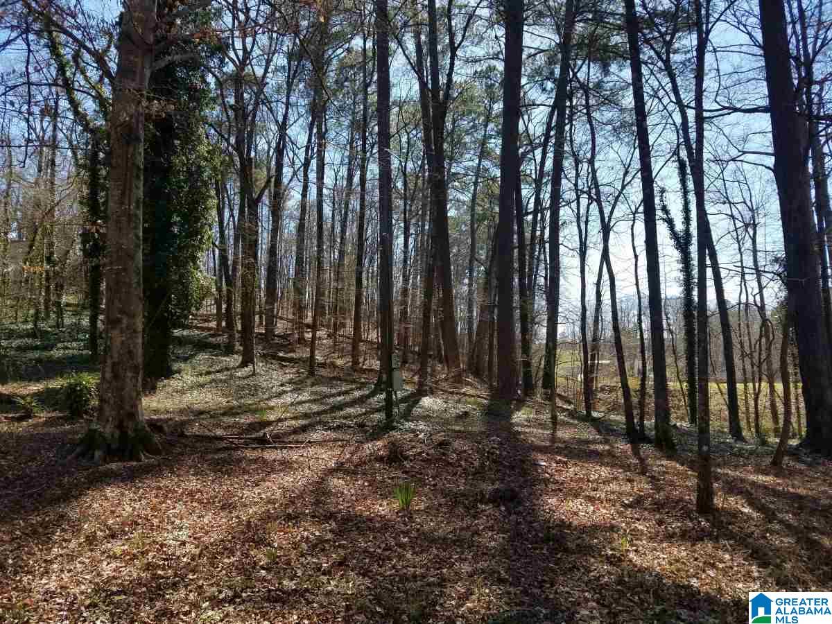4258 Vfw Road, Unit 6 Pinson, AL 35126 - Photo 6 of 6