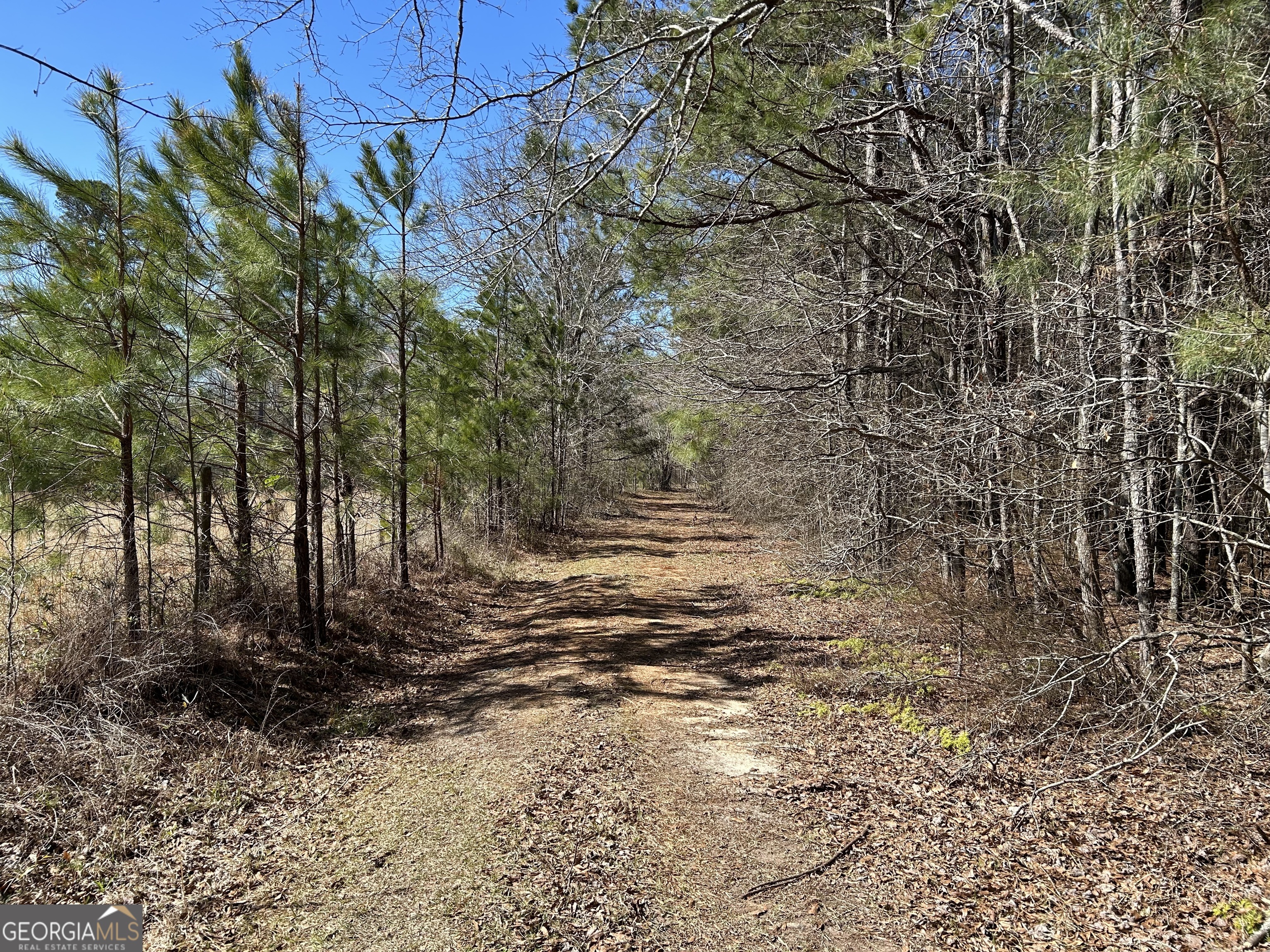 150 Charles Painter Road Villa Rica, GA 30180 - Photo 35 of 48