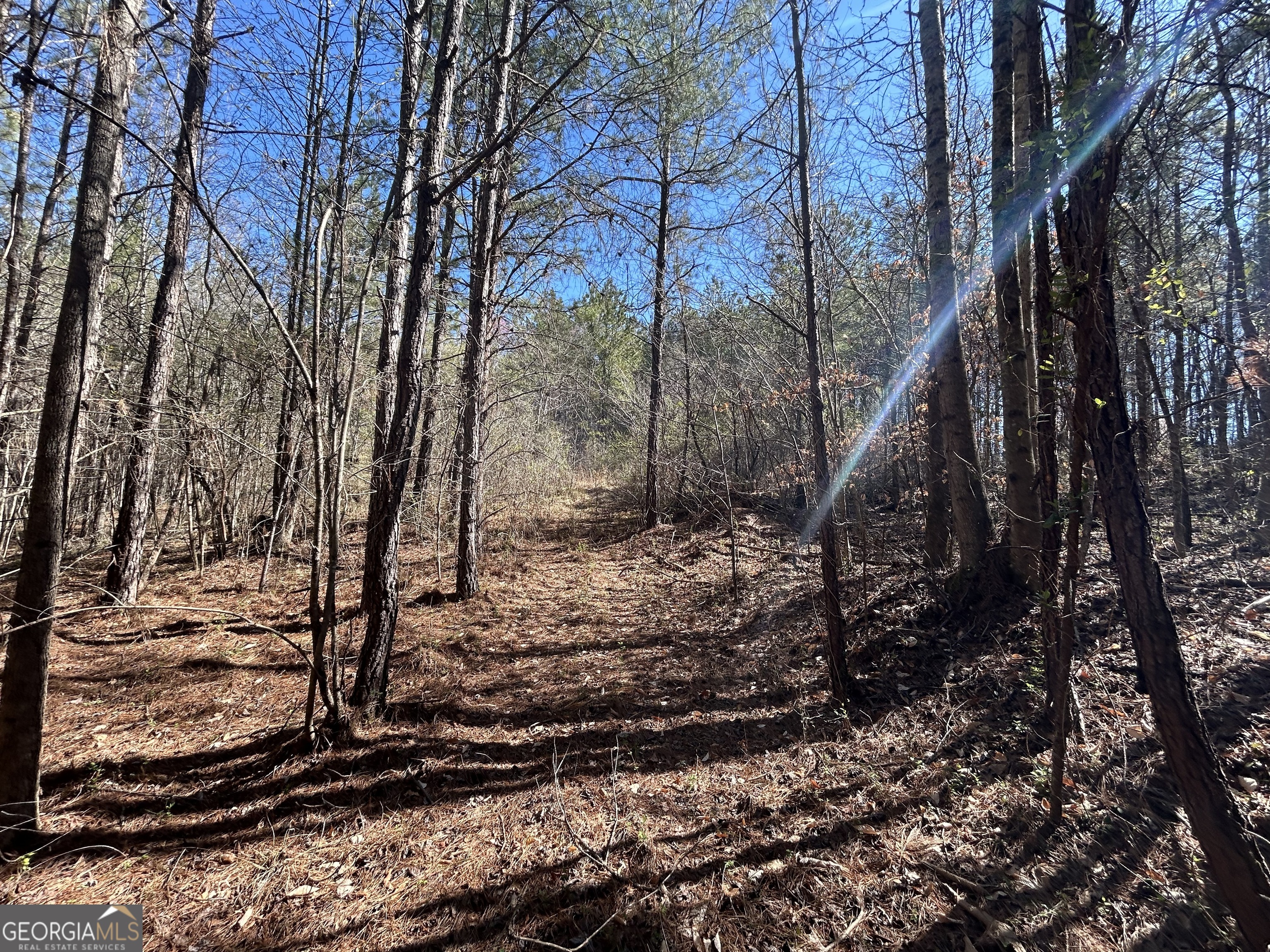 150 Charles Painter Road Villa Rica, GA 30180 - Photo 44 of 48