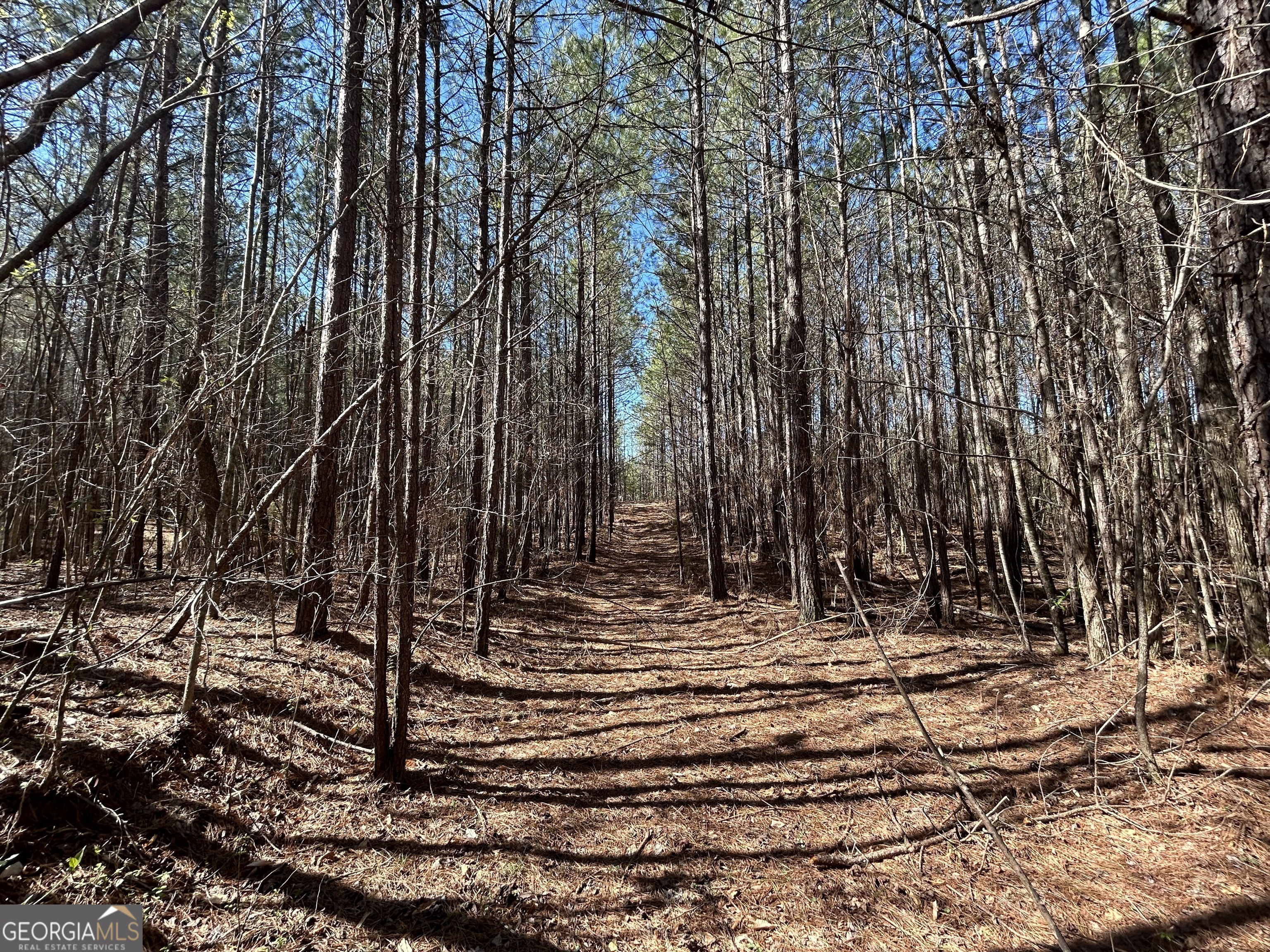 150 Charles Painter Road Villa Rica, GA 30180 - Photo 45 of 48