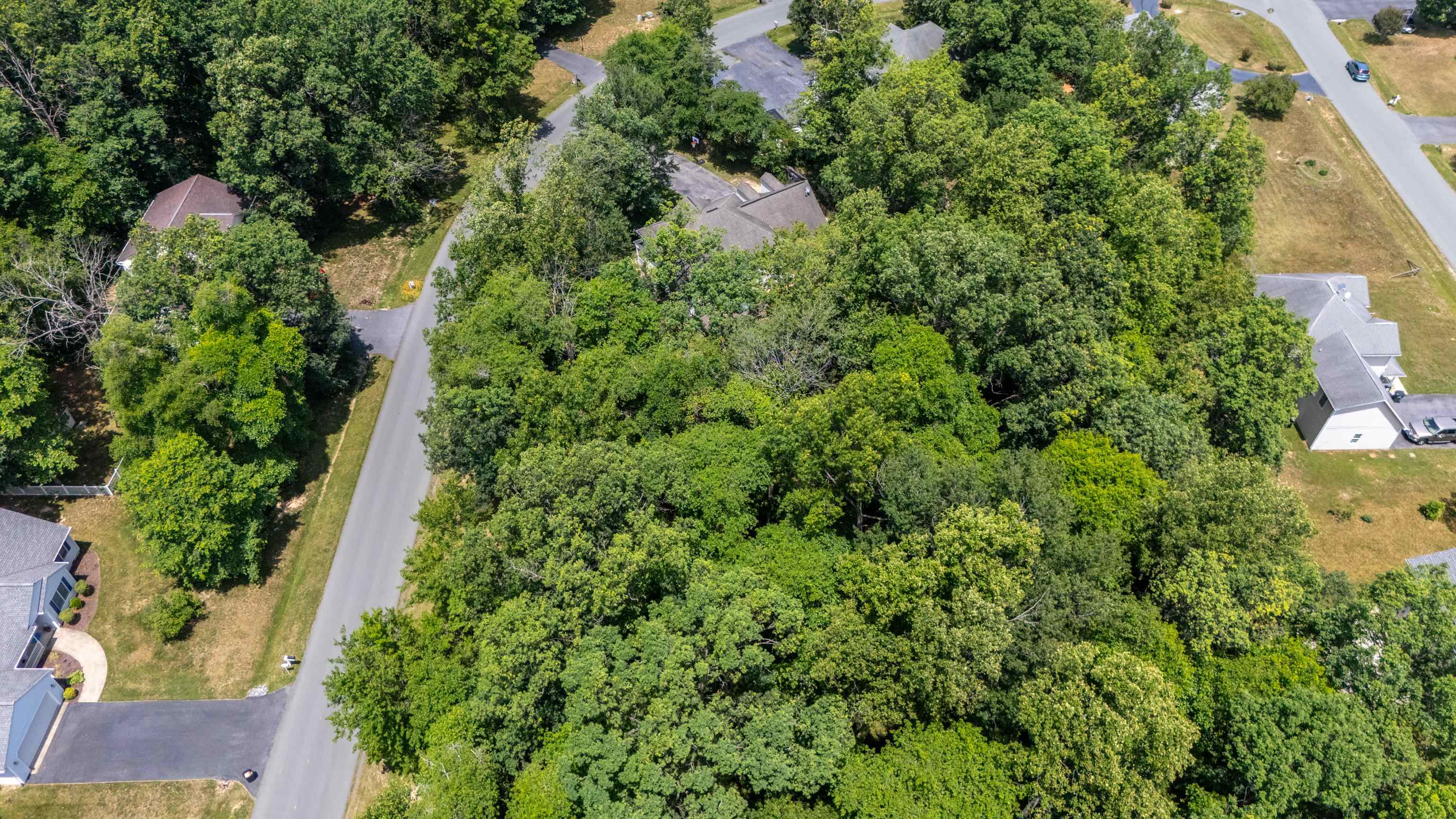 30 Rutherford Lane Stuarts Draft, VA 24477 - Photo 72 of 75