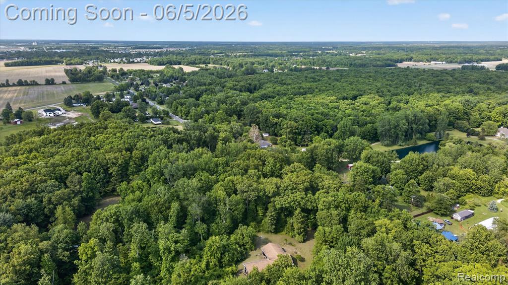 2083 Wells Road Dundee, MI 48131 - Photo 50 of 54