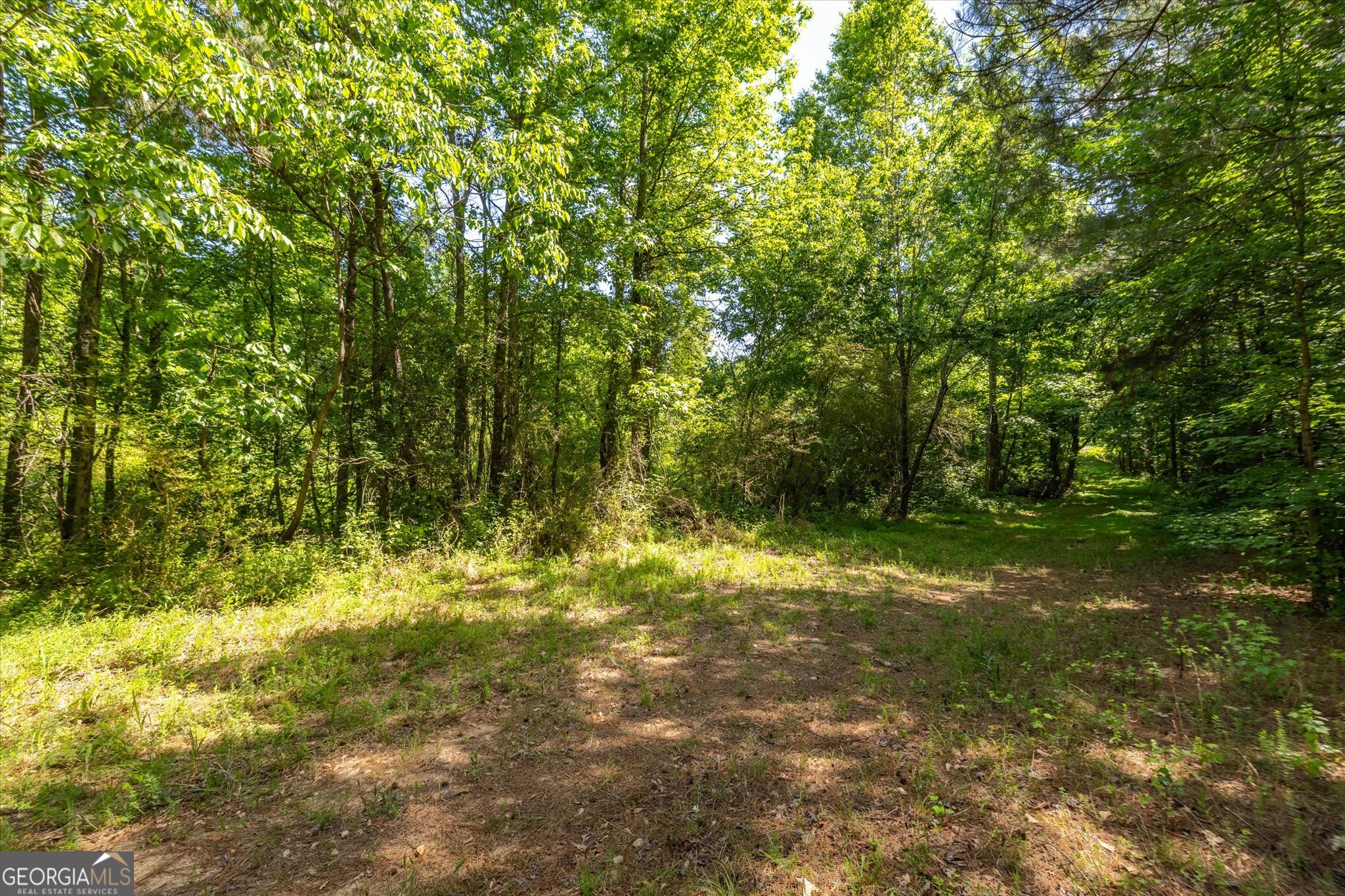 0 Gene Bell Road Northeast Monroe, GA 30655 - Photo 2 of 27