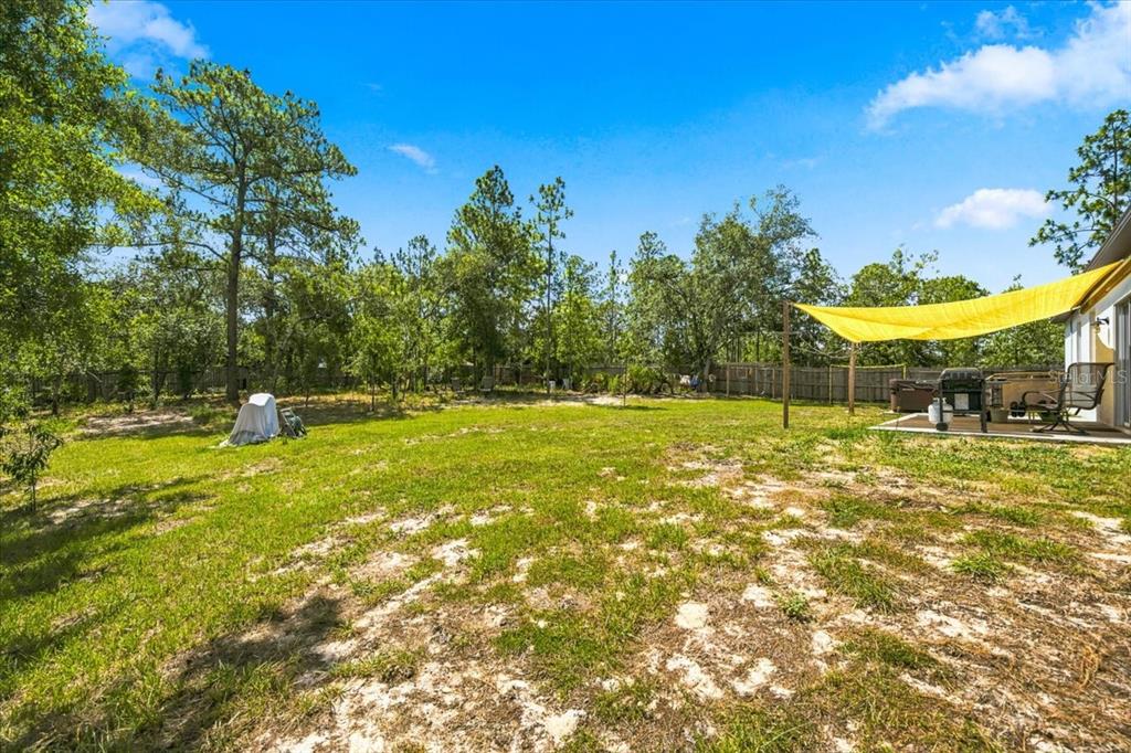 15186 Duck Hawk Road Weeki Wachee, FL 34614 - Photo 52 of 62