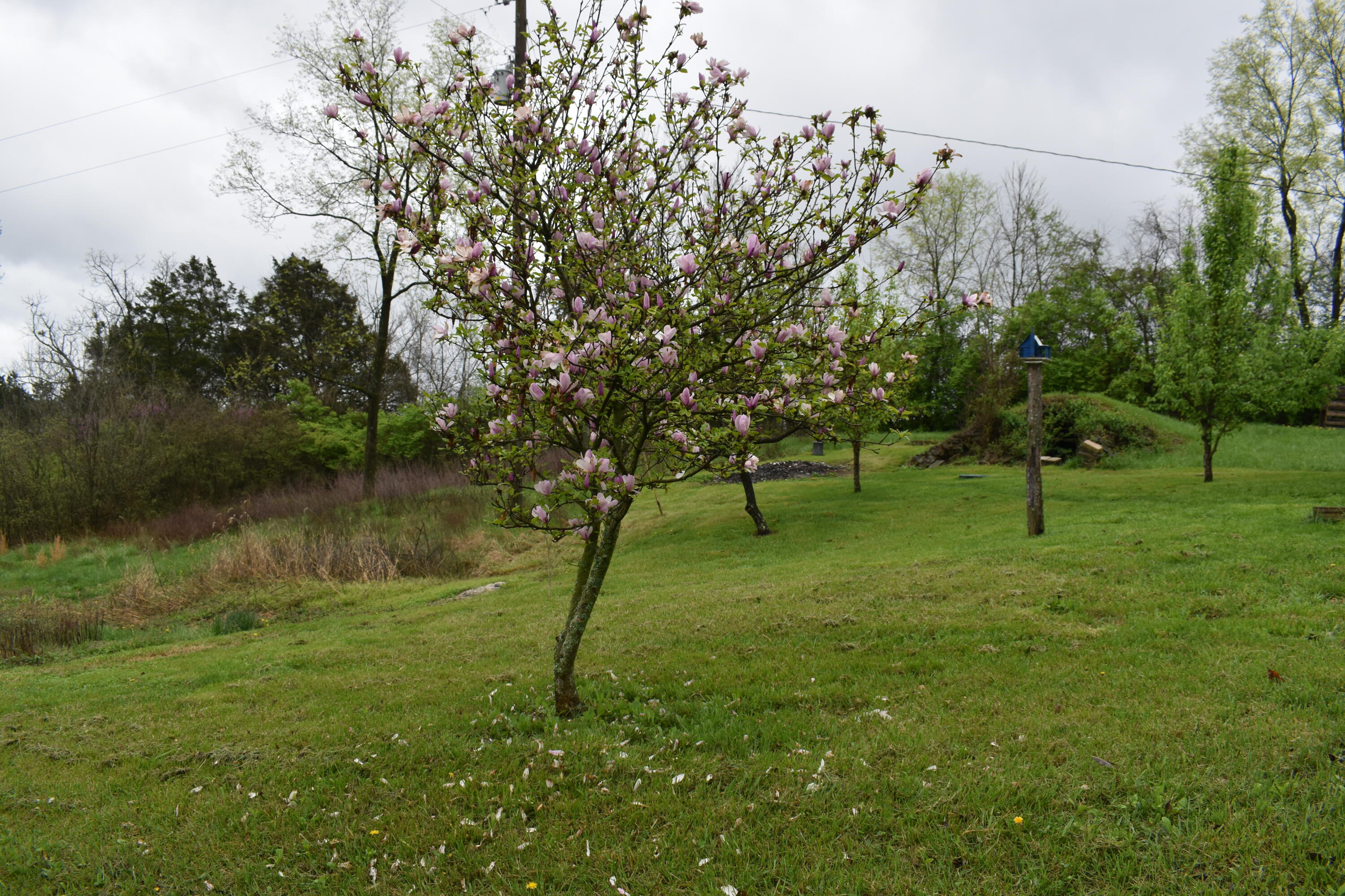866 McCouns Ferry Road Salvisa, KY 40372 - Photo 1 of 13 DSC_0006