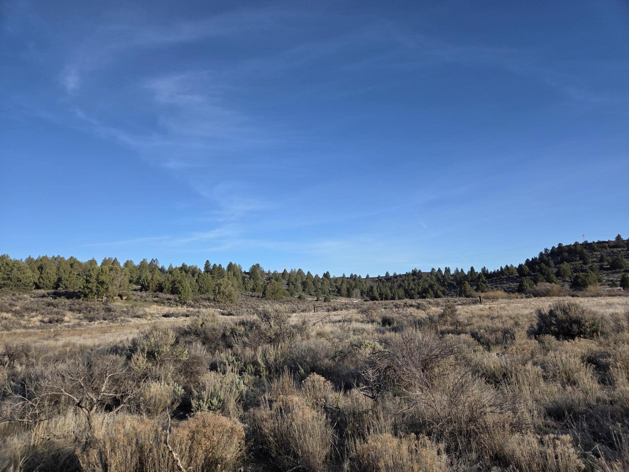 0 Drews Road, Unit LOT 8 Chiloquin, OR 97624 - Photo 14 of 39 a view of a field and trees