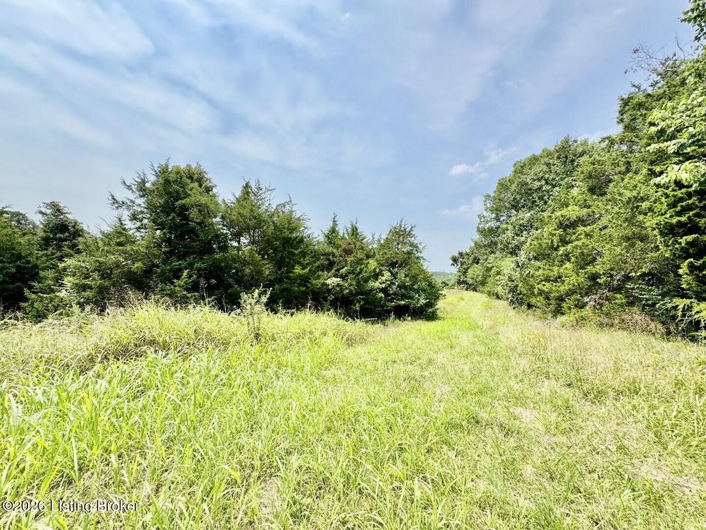 4223 Chaplin Road Willisburg, KY 40078 - Photo 46 of 48 046_Acreage