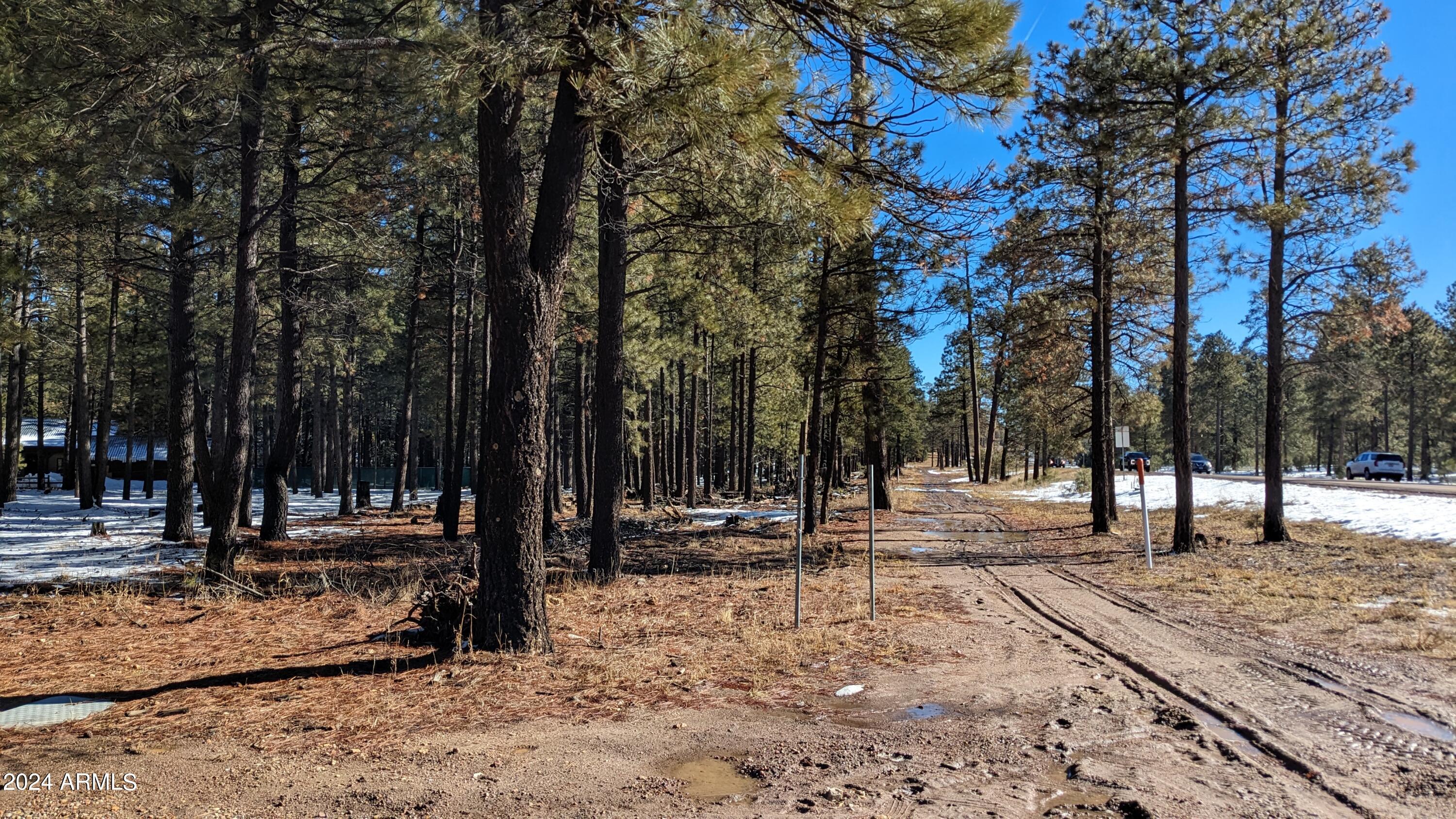1019 Merzville Road, Unit 234 Forest Lakes, AZ 85931 - Photo 7 of 11 a view of park with trees