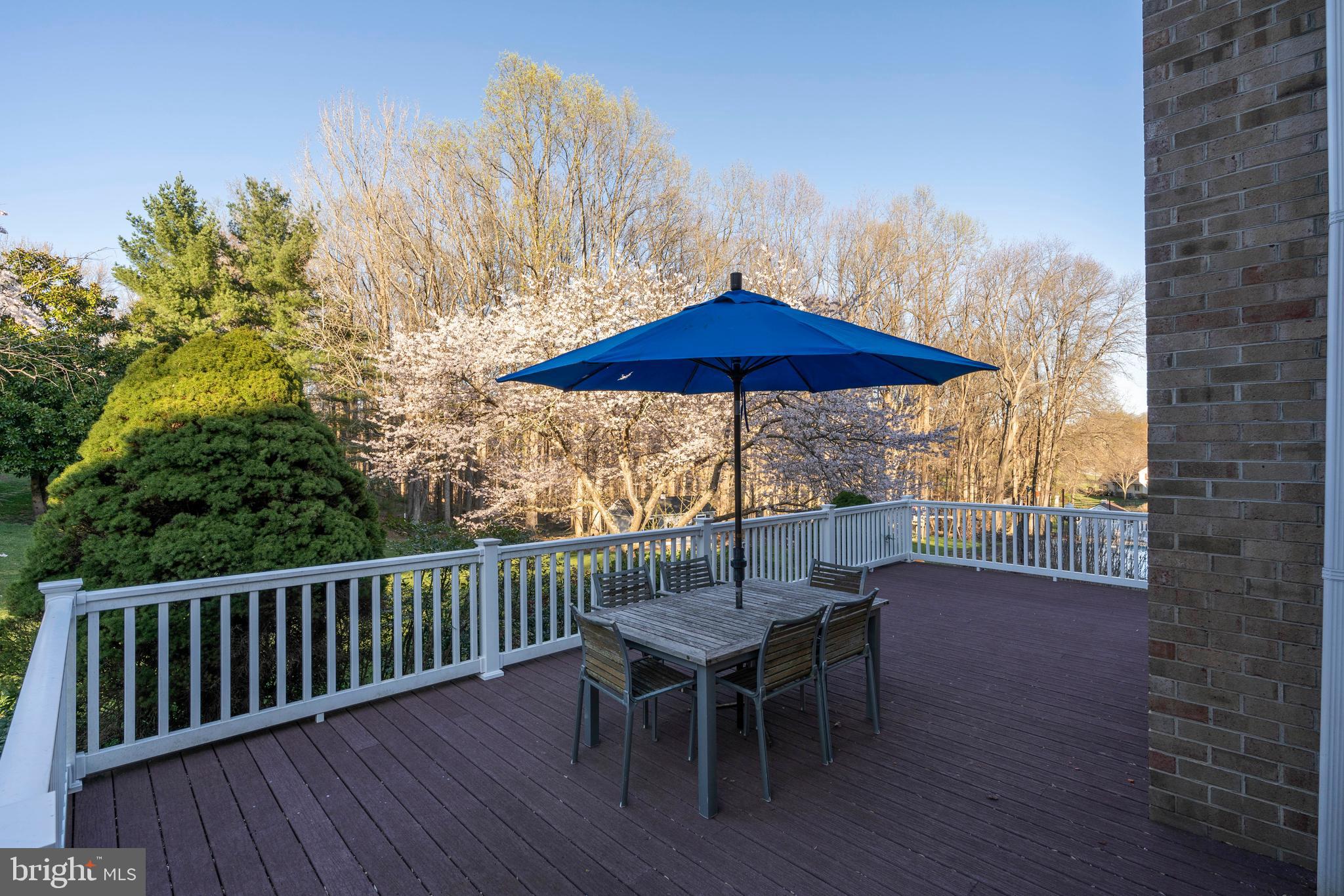 3145 Hickory Ridge Road Dunkirk, MD 20754 - Photo 27 of 49