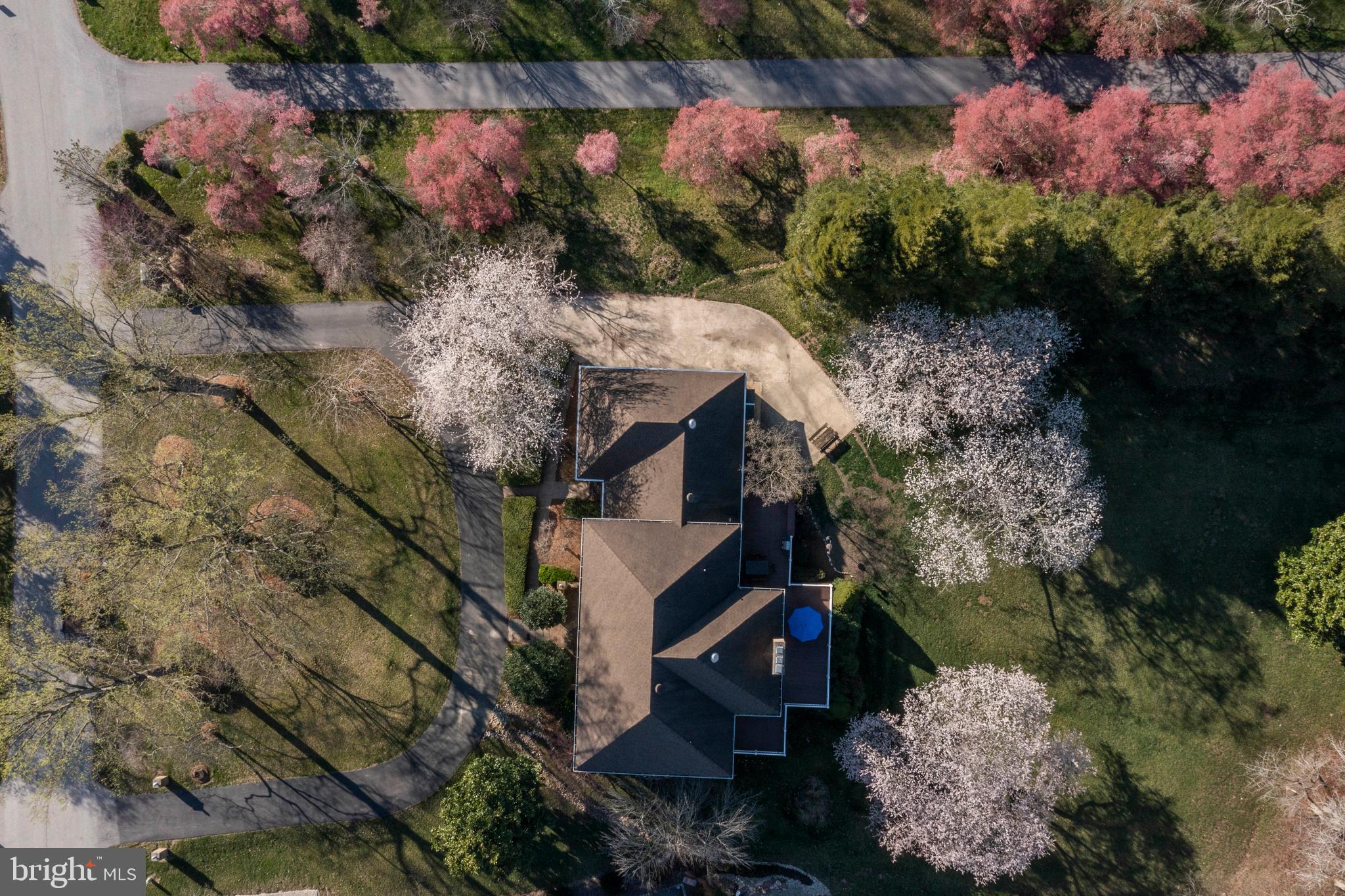 3145 Hickory Ridge Road Dunkirk, MD 20754 - Photo 8 of 49