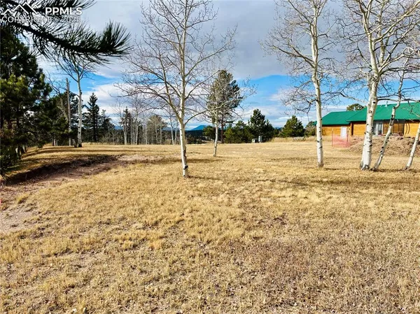 a view of back yard