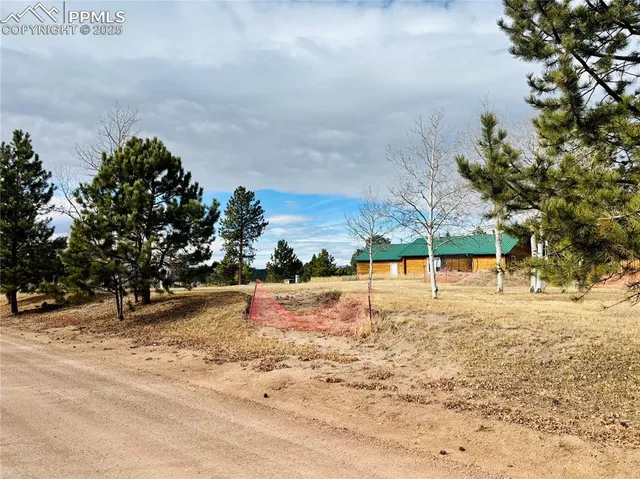 a view of a yard with a tree