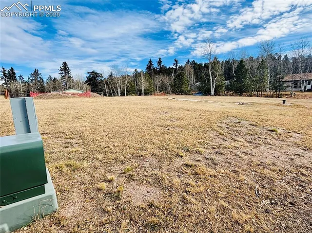 a view of outdoor space with garden
