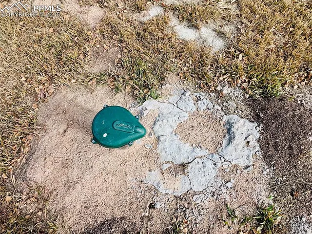 a view of outdoor space and a yard