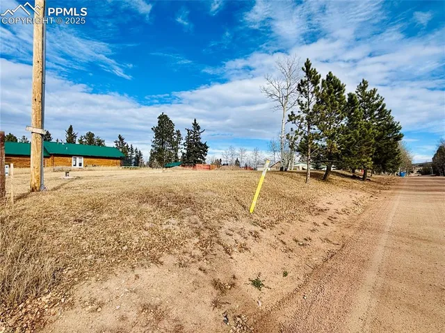 a view of a dry yard with trees