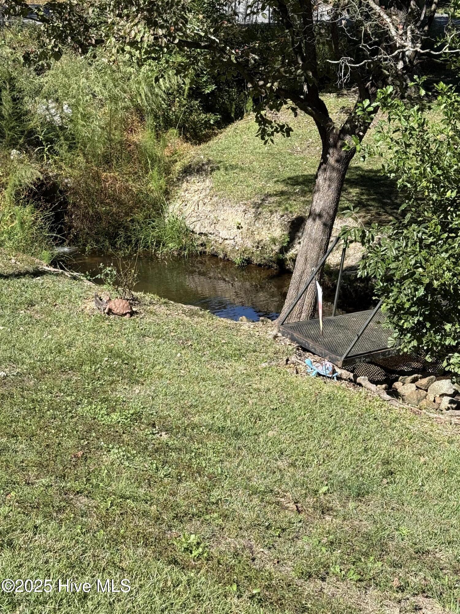 112 Marilyn Avenue Rockingham, NC 28379 - Photo 5 of 20 Stream beside house to listen to while relaxing on the front porch