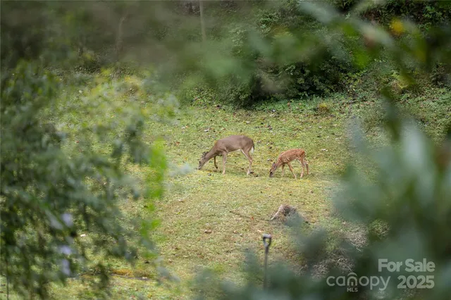 a kitchen with stainless steel appliances kitchen island granite countertop a sink and cabinets