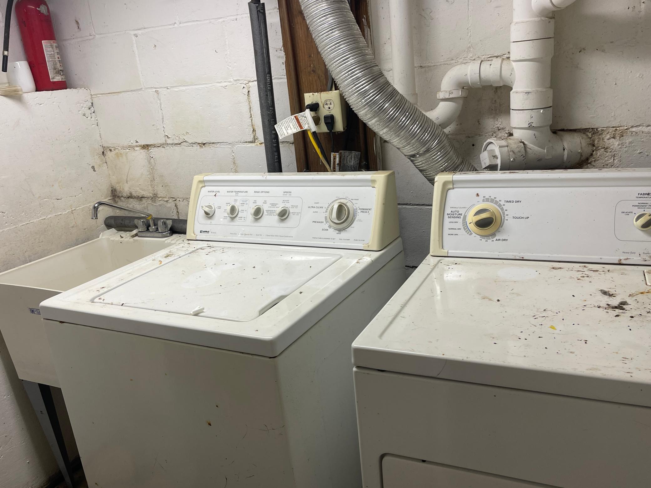 7340 County Road 19 Southeast Rochester, MN 55904 - Photo 52 of 64