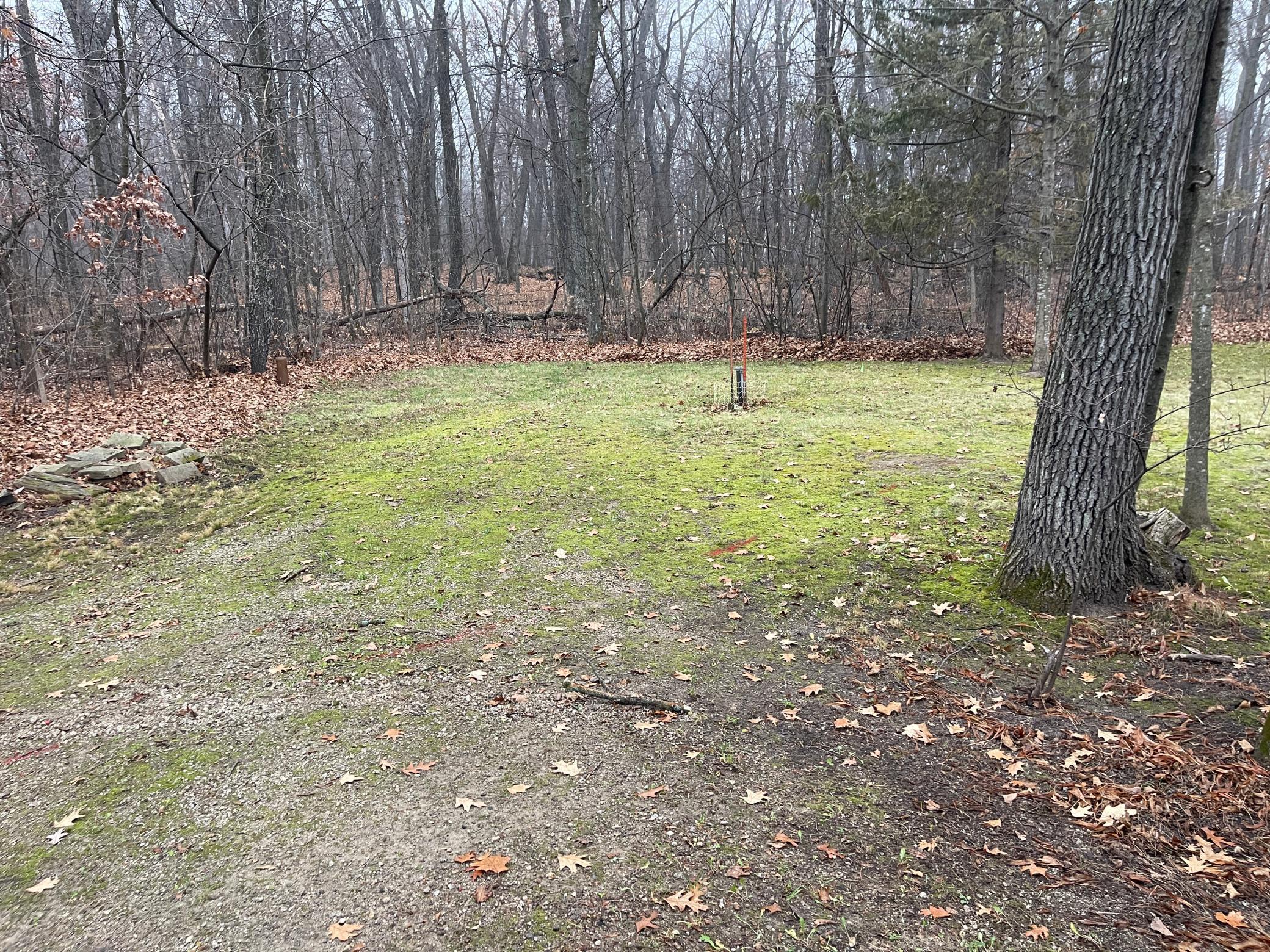 7340 County Road 19 Southeast Rochester, MN 55904 - Photo 59 of 64