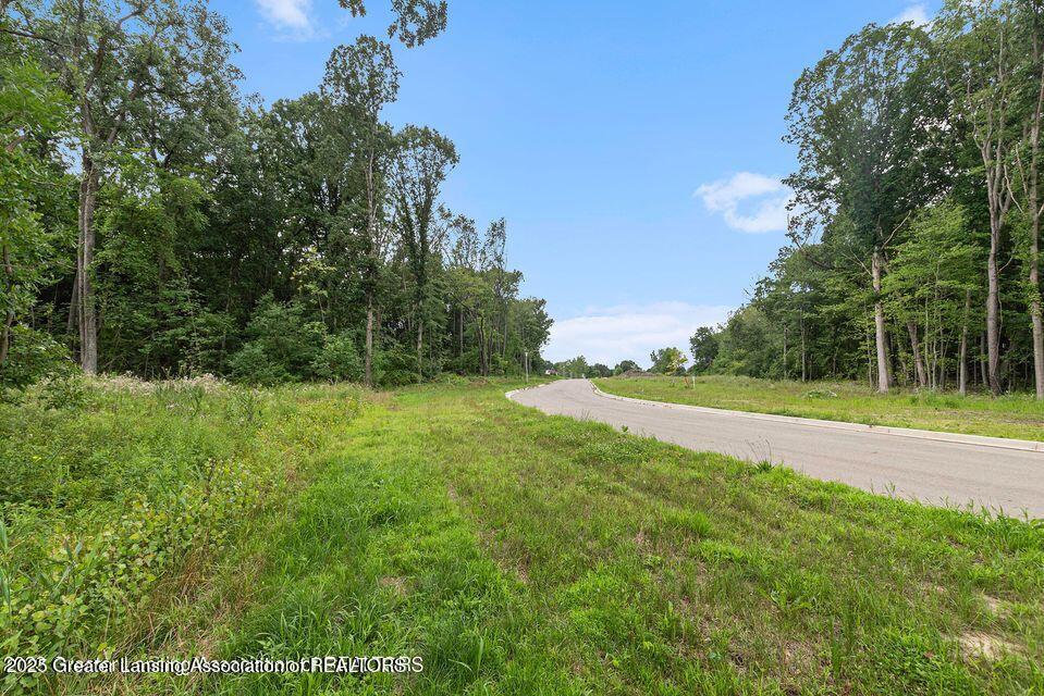 16725 Tormiston Road Haslett, MI 48840 - Photo 9 of 10 8